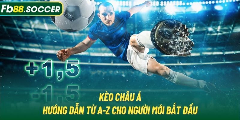 Kèo Châu Á | Hướng Dẫn Từ A-Z Cho Người Mới Bắt Đầu