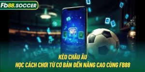 Kèo Châu u | Học Cách Chơi Từ Cơ Bản Đến Nâng Cao Cùng FB88