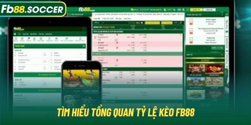 Tìm hiểu tổng quan tỷ lệ kèo FB88